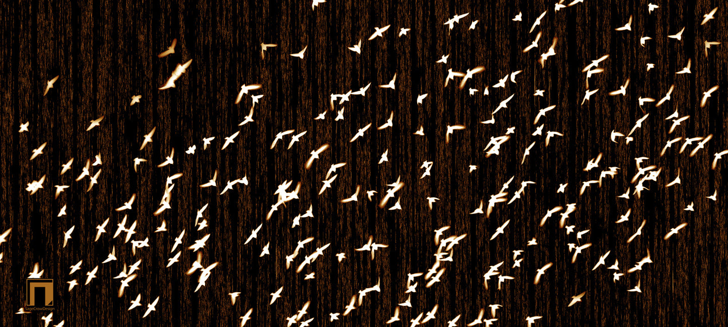 Flight Pattern Beta Deskmat - Dark Theme