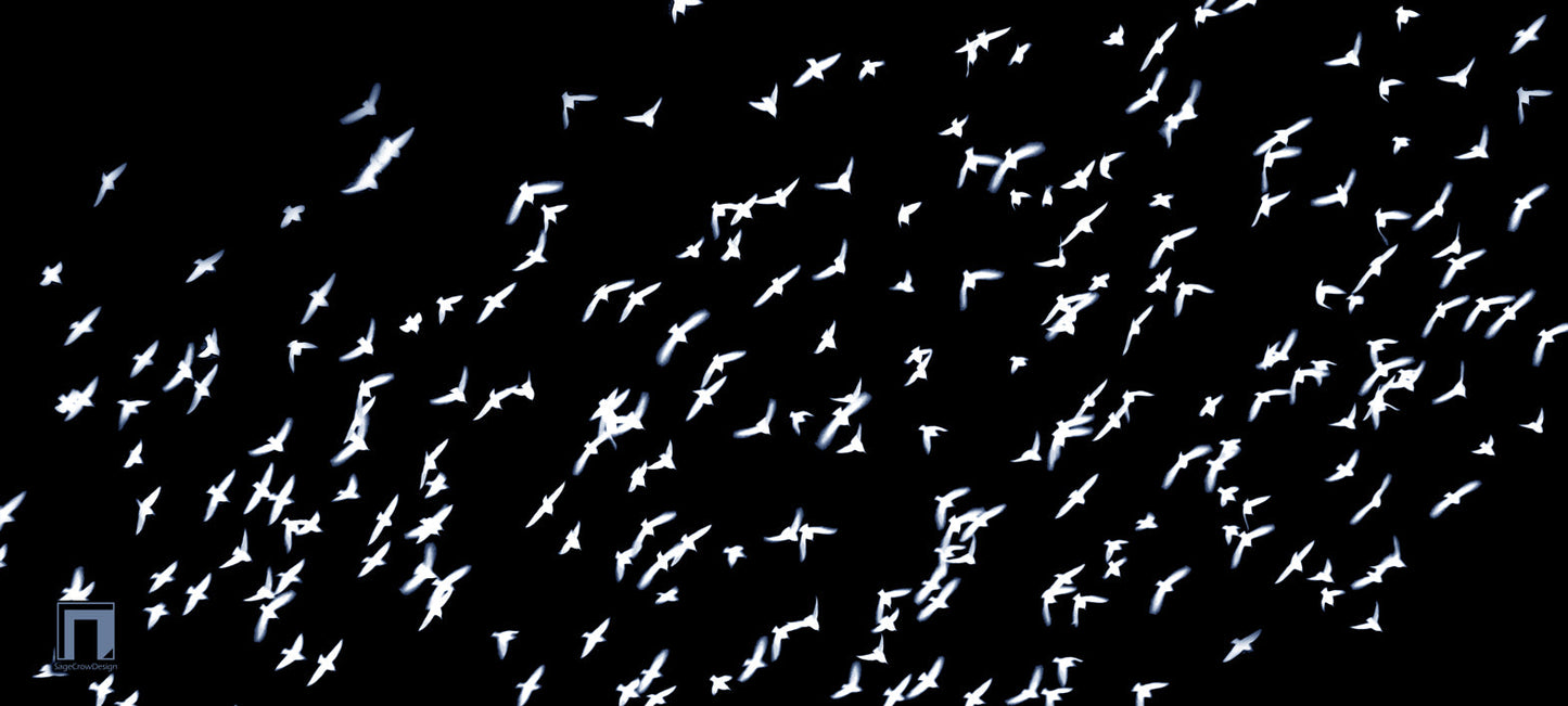 Flight Pattern Beta Deskmat - Dark Theme