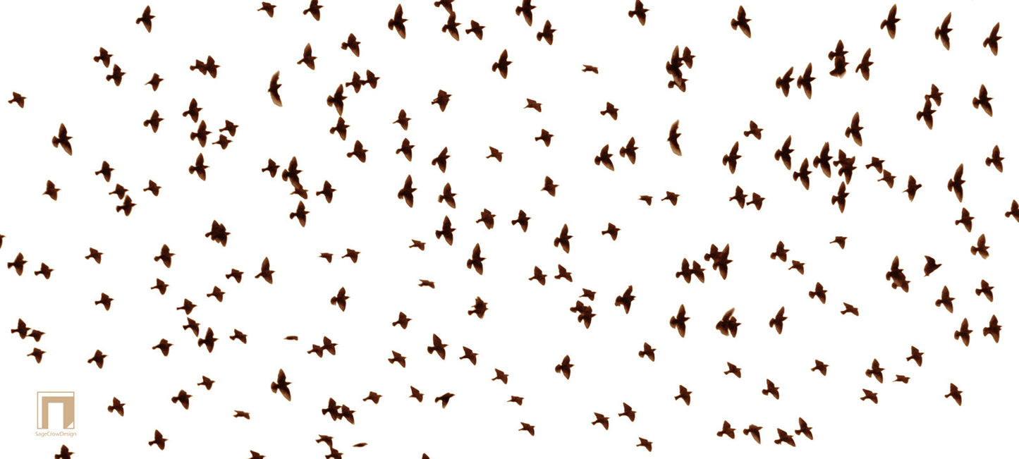 Flight Pattern Gamma Deskmat - Light Theme