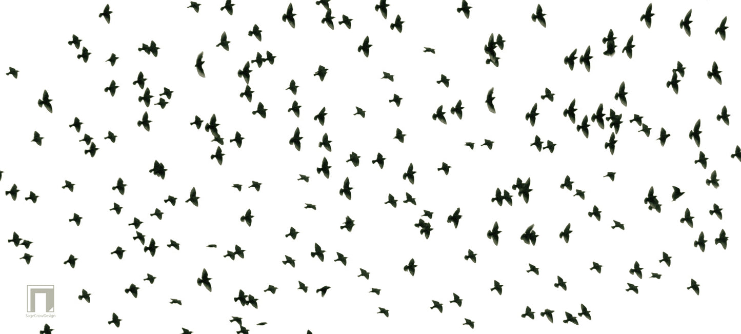 Flight Pattern Gamma Deskmat - Light Theme