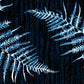 Fern Taijitu Deskmat -- Dark Theme