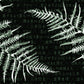 Fern Taijitu Deskmat -- Dark Theme
