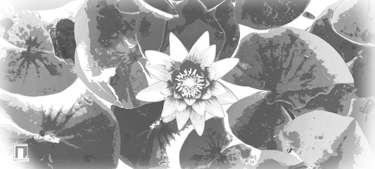 Water Lily Deskmat -- Light Theme